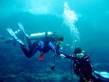 Isla del Coco - 28